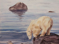 watercolour  Fishing