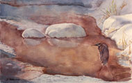 watercolour  Hanging On