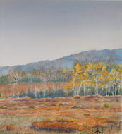 watercolor Autumn Poplars