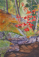 Red maple leaves by lake water