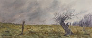 watercolour