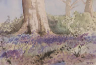 watercolour Bluebells