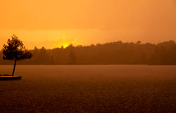Orange Sky in Rain Storm