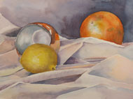 watercolor painting by Debbie Homewood  Citrus and Silk